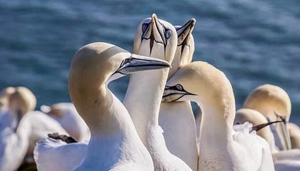 开云中国-地方篮球联赛蓬勃发展助力国家队选材