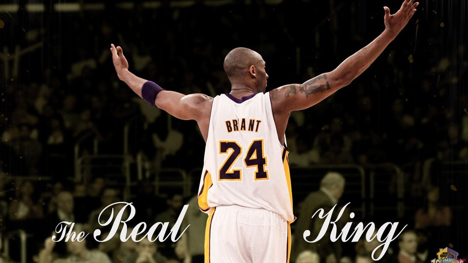 开云体育APP下载-多元人才孵化平台：电竞行业从“玩”到“行”的转变