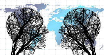 开云·体育官网APP下载-体育新闻中心协同多方建立体育内容风控机制，体育新闻机构