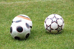 kaiyun中国官方网站-基层足球俱乐部资金短缺，基层足球俱乐部资金短缺的原因